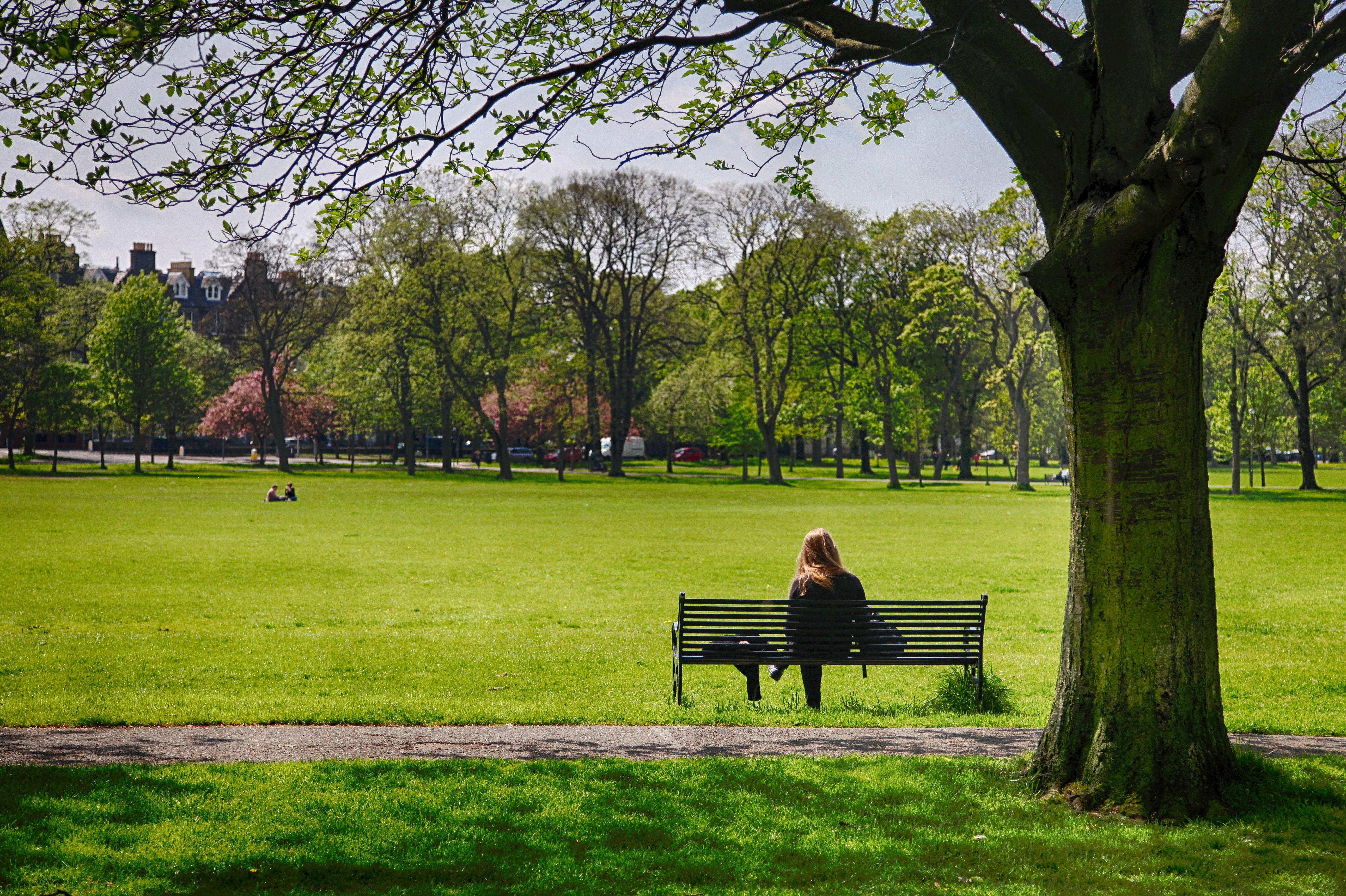 woman reading photo