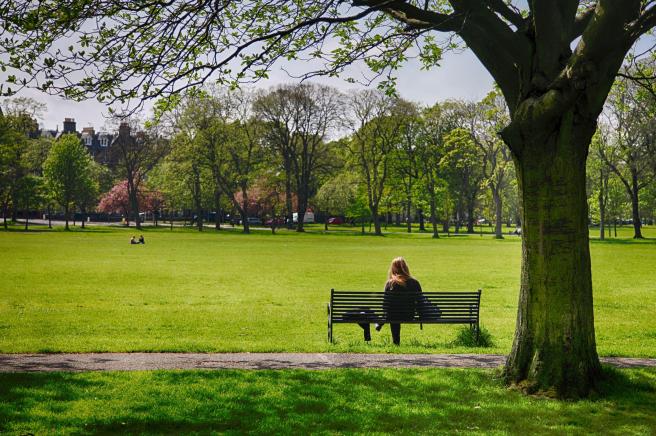 woman reading photo